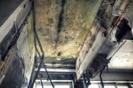 Best Comprehensive Air Testing for Mold Contaminants  in South Roxana, IL